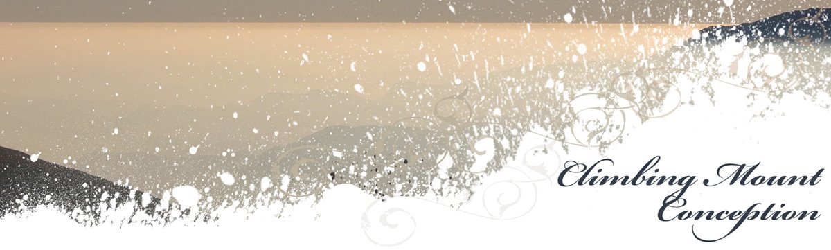 Climbing Mount Conception