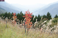 秩父　三峰神社から見た紅葉と渓谷