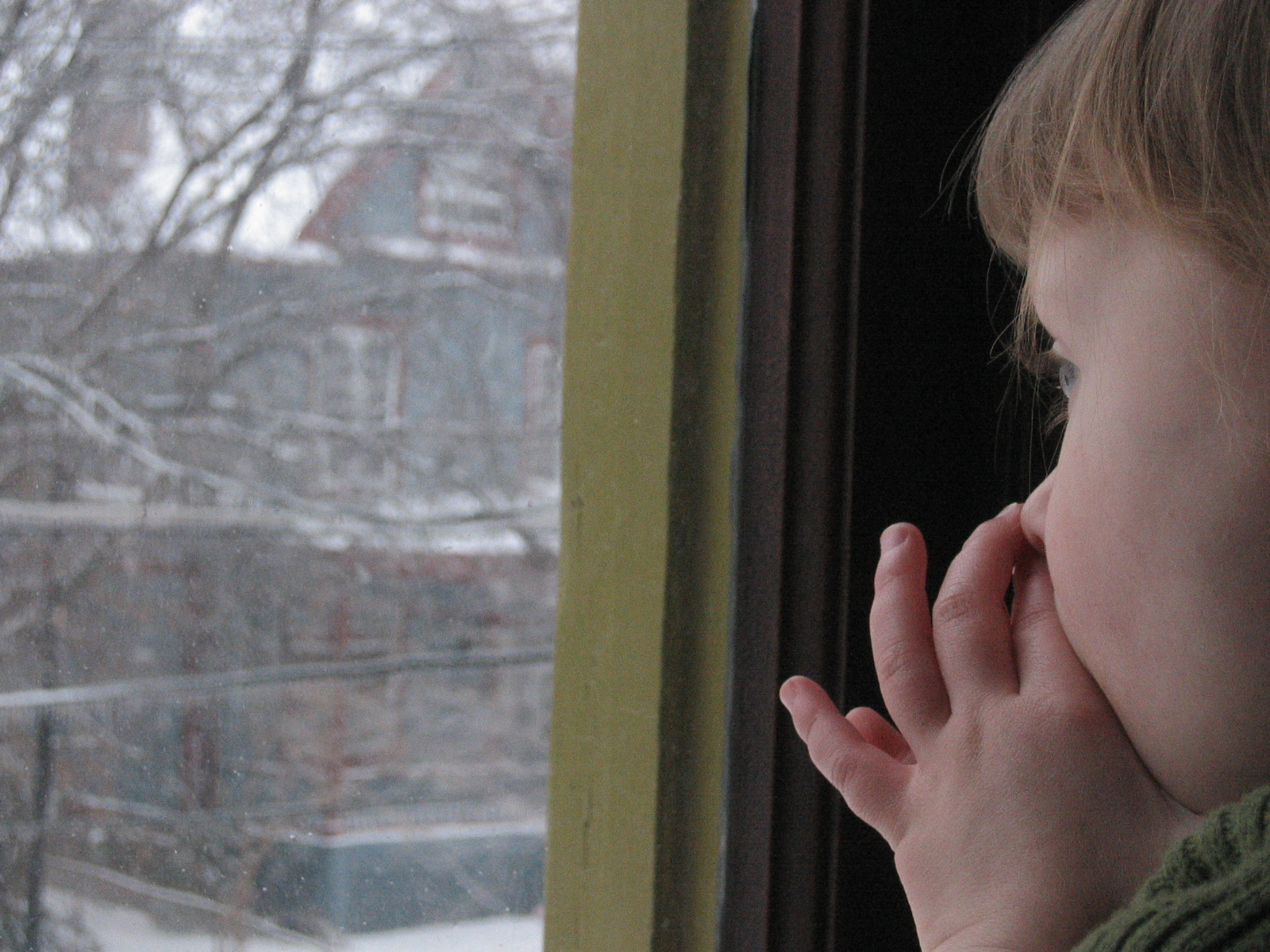 [IMG_7445.JPG]
