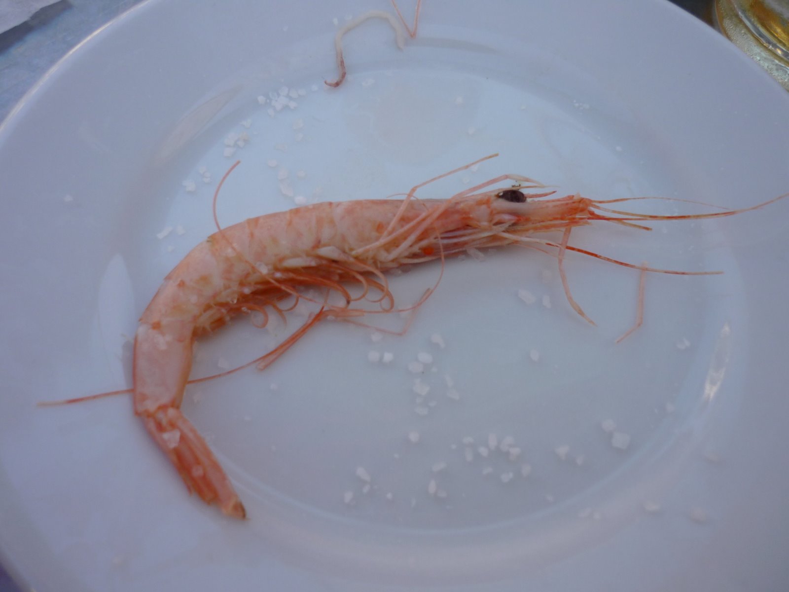 [christmasss+031.jpg]