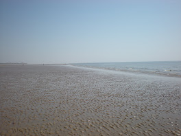 The Beach