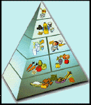 Piràmide Alimentària