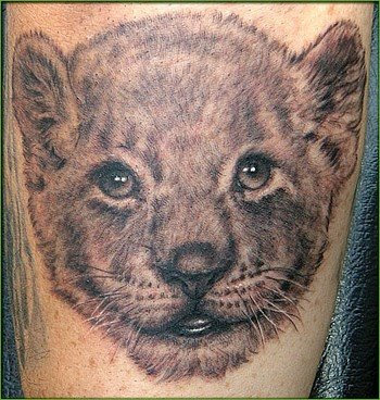 tribal lion tattoos for men. Lion Tattoos Pics. Tribal Lion