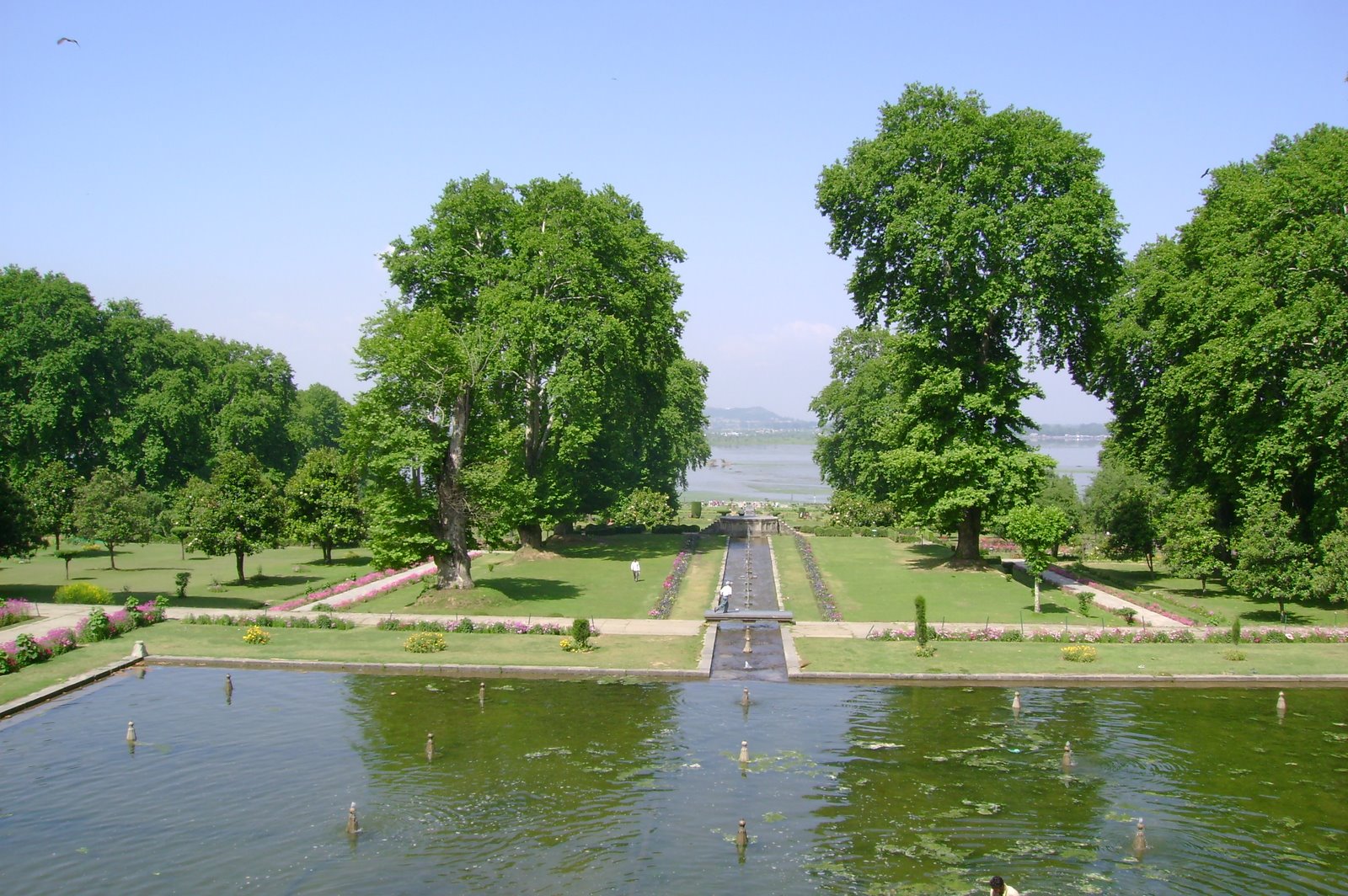 [DSC02507.JPG]