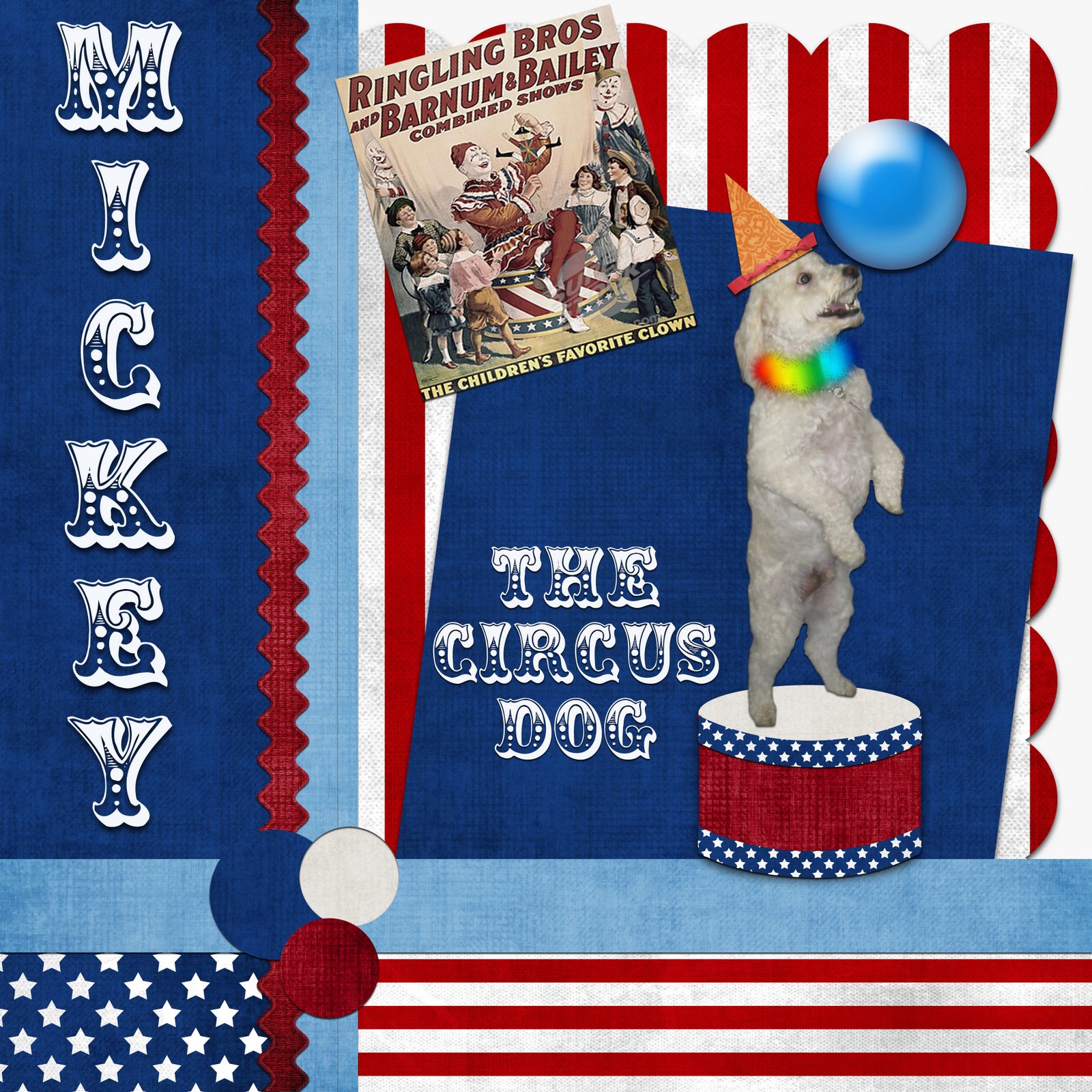 [circusdog.jpg]