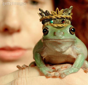 [frog_prince.jpg]