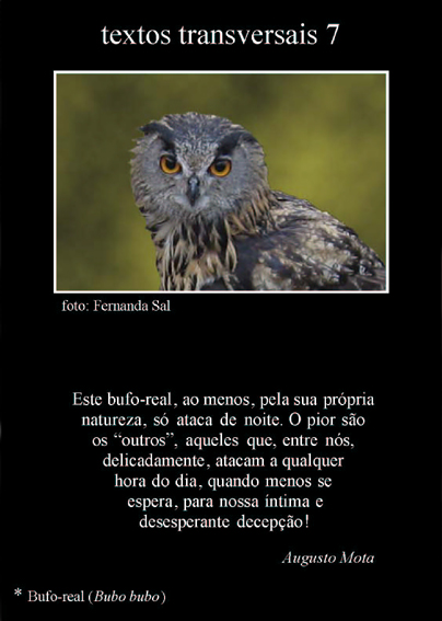 [Textos+transversais+7.jpg]