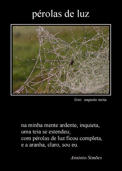 [Perolas+de+luz.jpg]