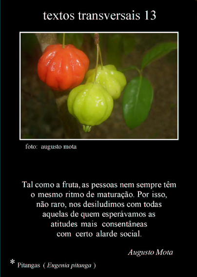 [Textos+transversais+13.jpg]