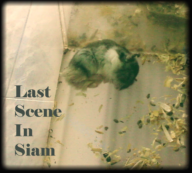Last Scene In Siam