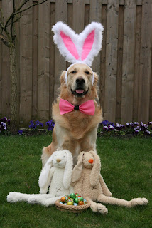 happy easter golden retriever