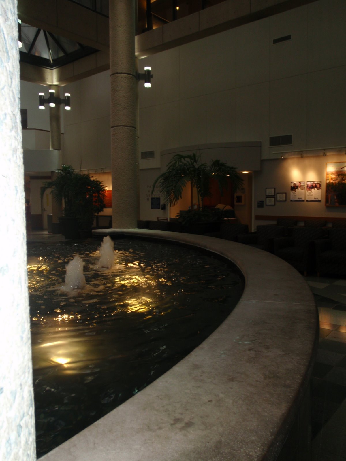 [Hospital+Foyer+Fountain.JPG]
