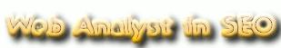 Web Analyst in SEO, web internet marketing SEO