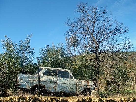 [Carro+Abandonado.jpg]