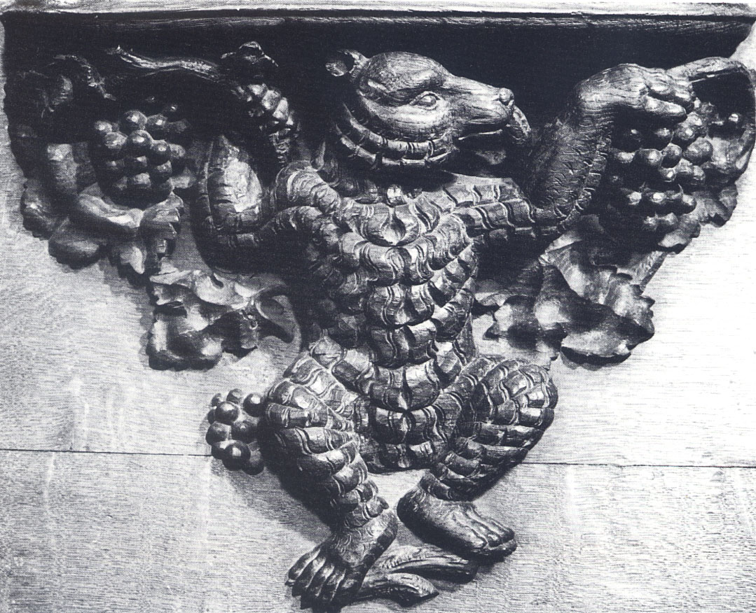 [urso-colonia.jpg]