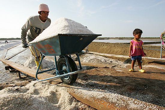 [sea_group2_0014_std.jpg]