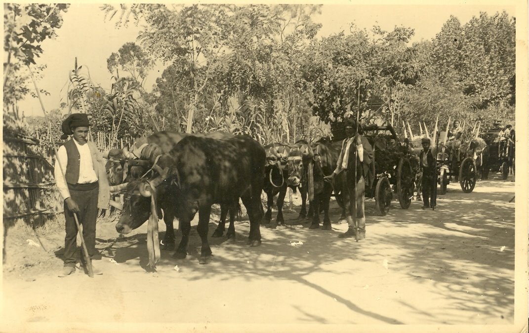 [Digitalizar0001.jpg]