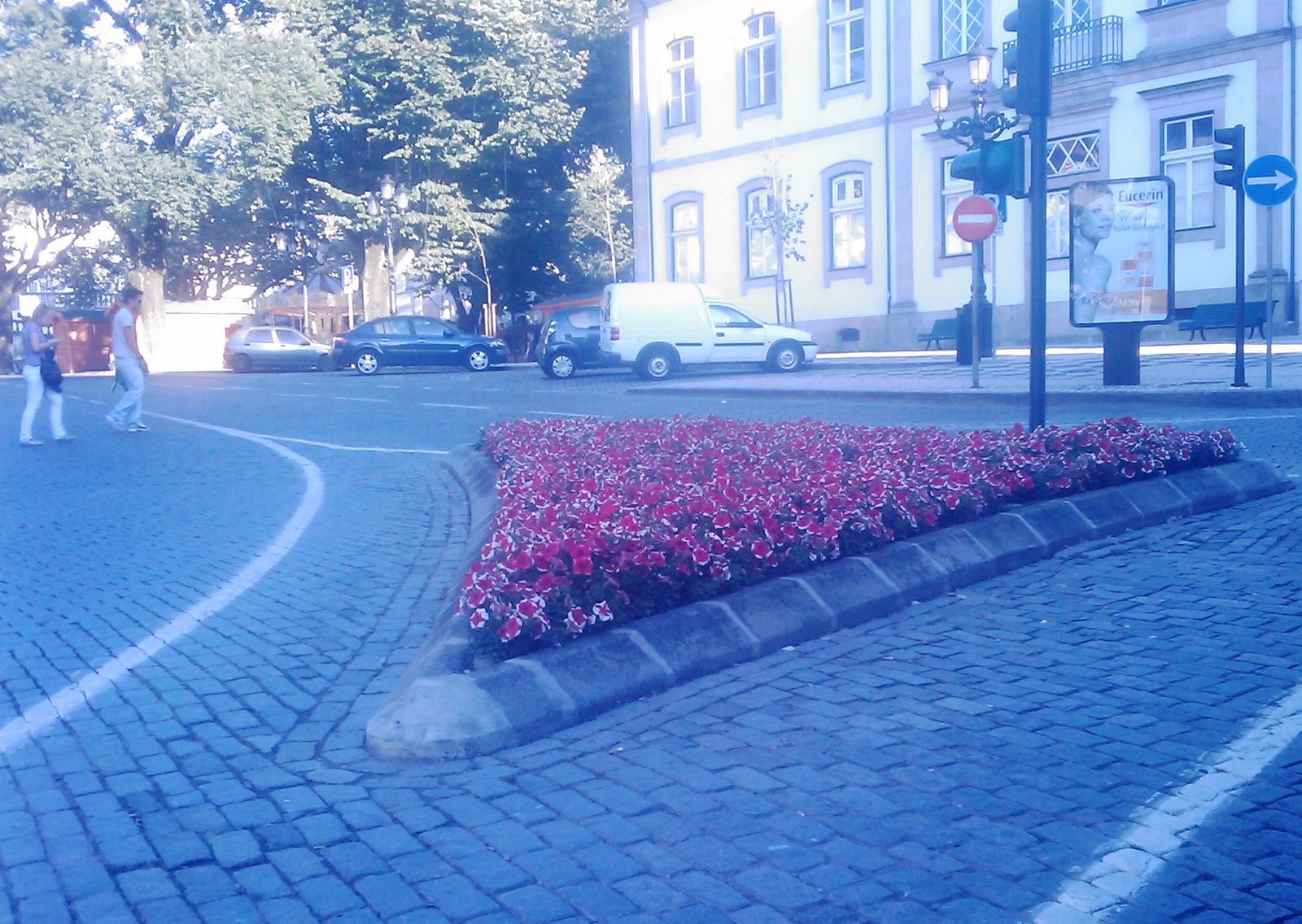 [IMAGE_087.jpg]