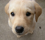 Bella Boo. born Feb 10