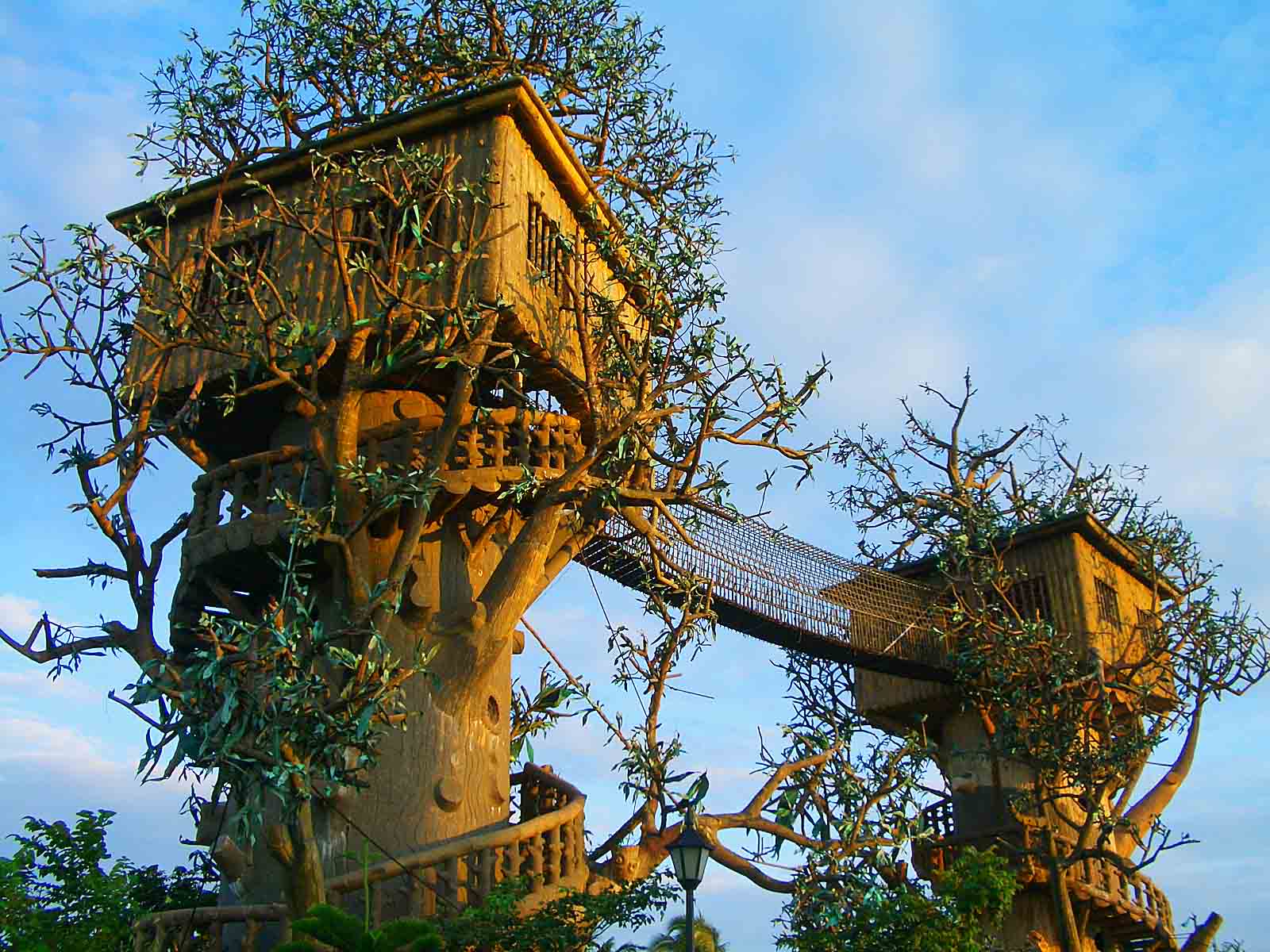 Kućice na drvetu 2+treehouses