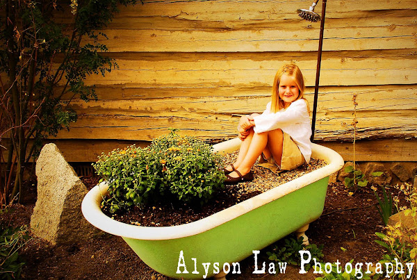 Alyson Law Photography