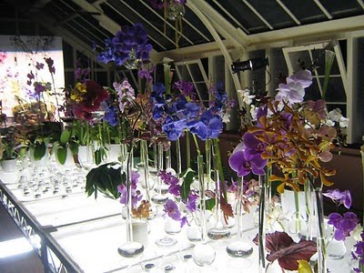 [SaskiaHavekes3.jpg]