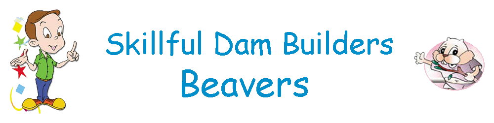 Skillful Dam Builders: Beavers