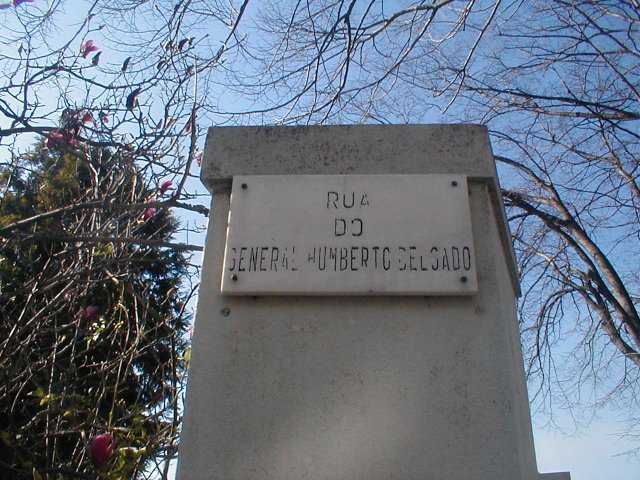 [p1010033.jpg]