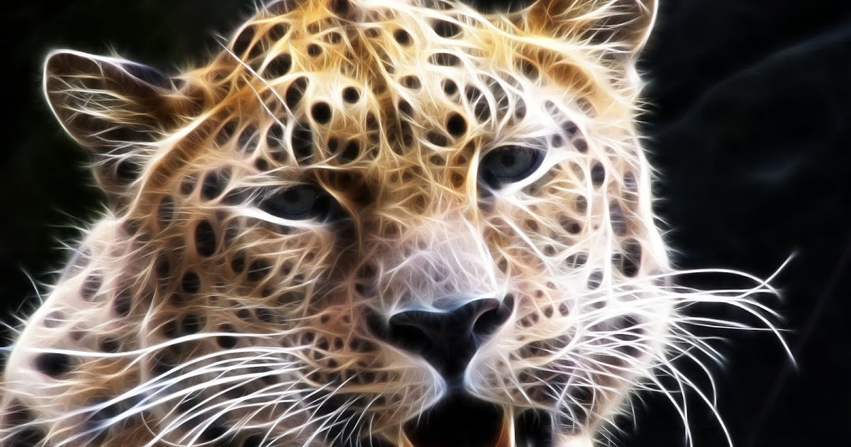animals » HOT ACTRESS