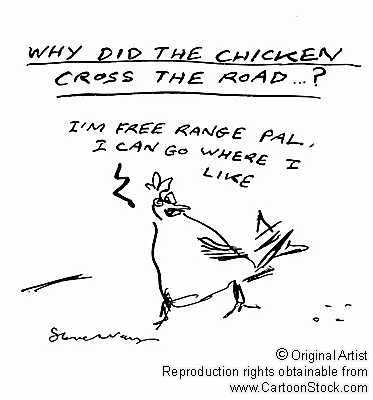 [Chicken_Cross_Road3.JPG]