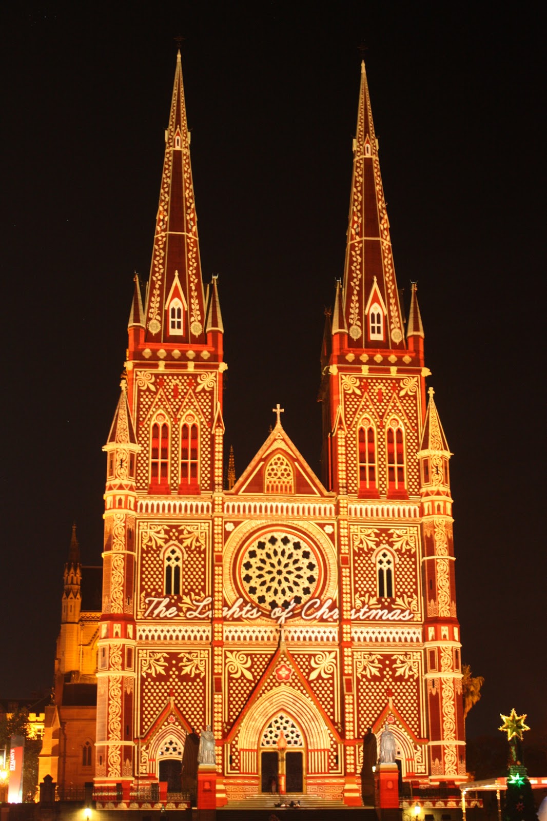 Sydney City and Suburbs St Mary's Cathedral, Lights of Christmas