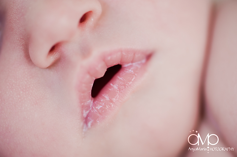 [Majeau-Family-52.jpg]