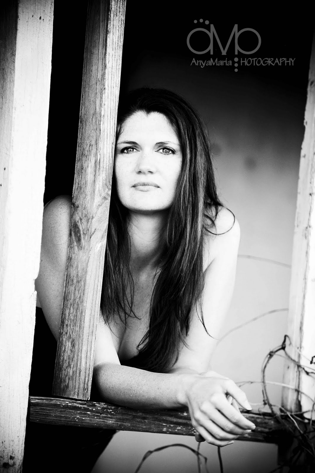 [DSC_4052_2148bwa.jpg]