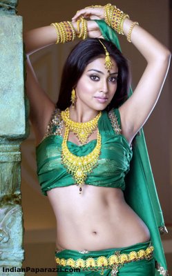 [shreya+saran+photo+shoot+5.jpg]