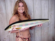 Aggressive, fast breeding fish are naturally attracted to larger lures.