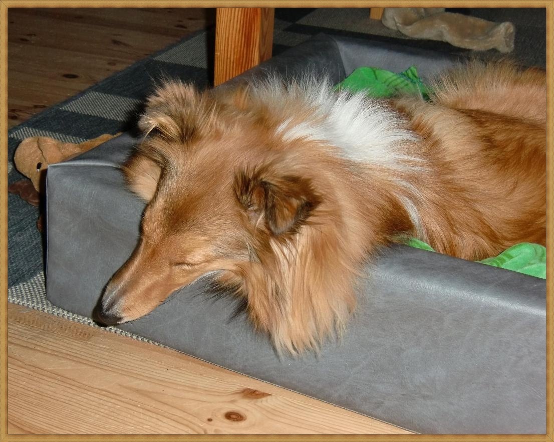[milla+sover+ram.jpg]
