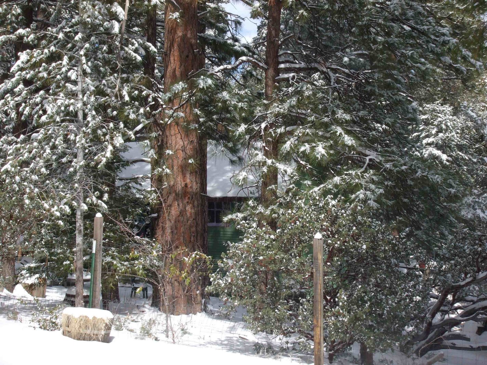 [snow0308d.jpg]