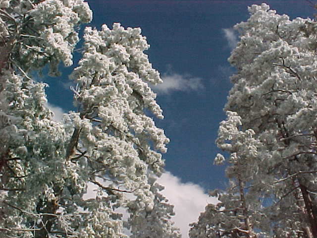 [Snow0206c.JPG]