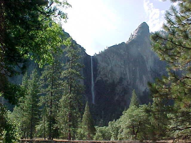 [2006Mont113.JPG]