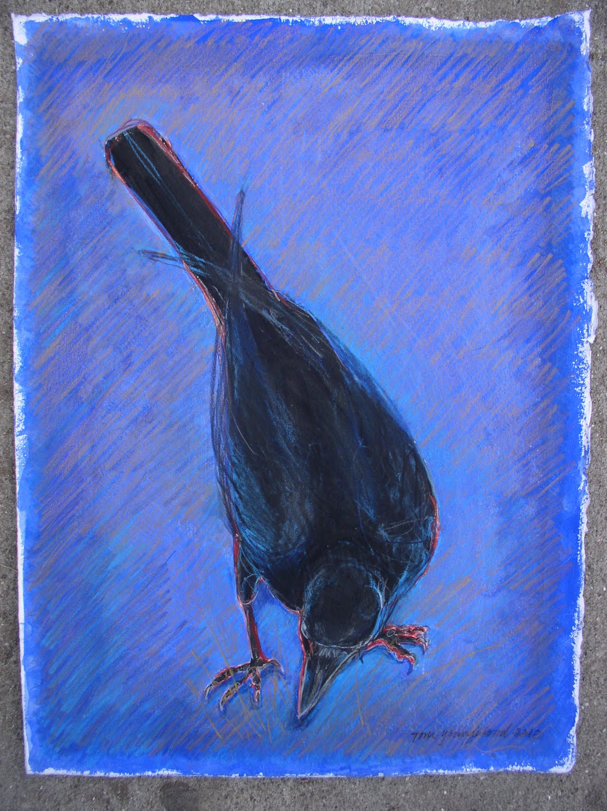 [Gleaning+Crow+2.JPG]