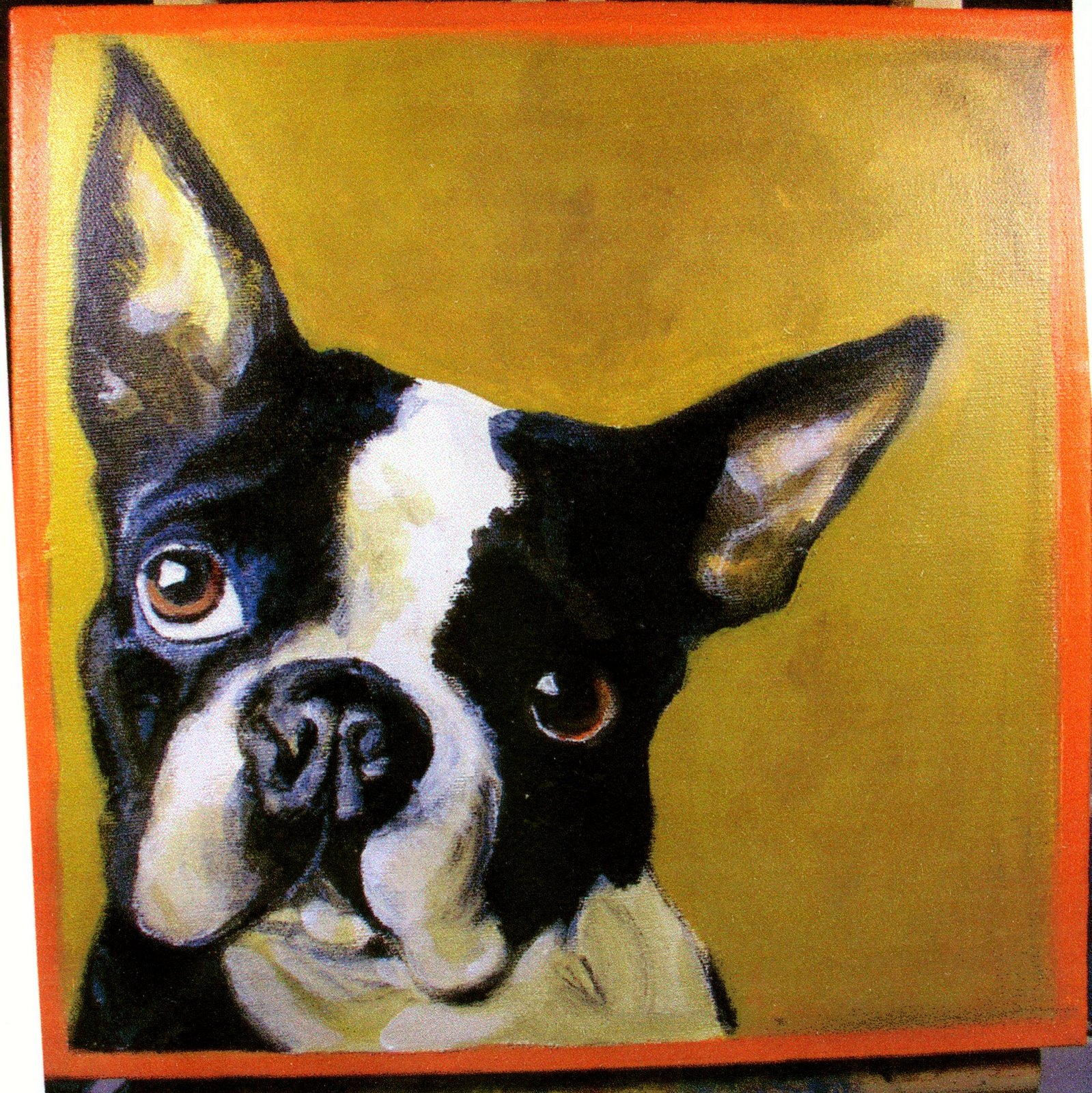 [Boston+Terrier001.jpg]