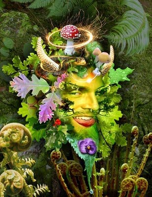 [collage194.jpg]