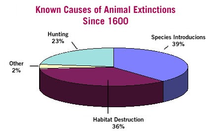 Reasons for hunting animals