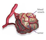 Cancer Biology