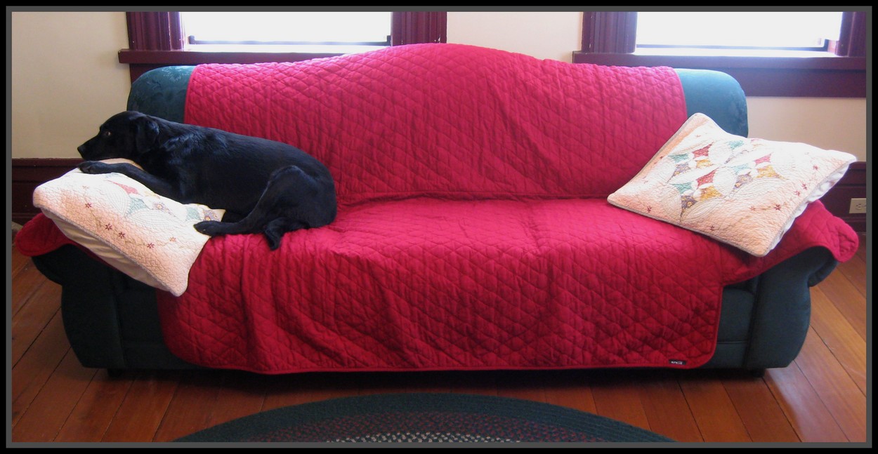 Doggie Chef Sure Fit Slipcovers Pet Covers