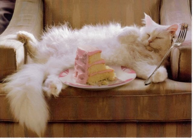 коты и кошки  - Страница 5 Cat_birthday_cake