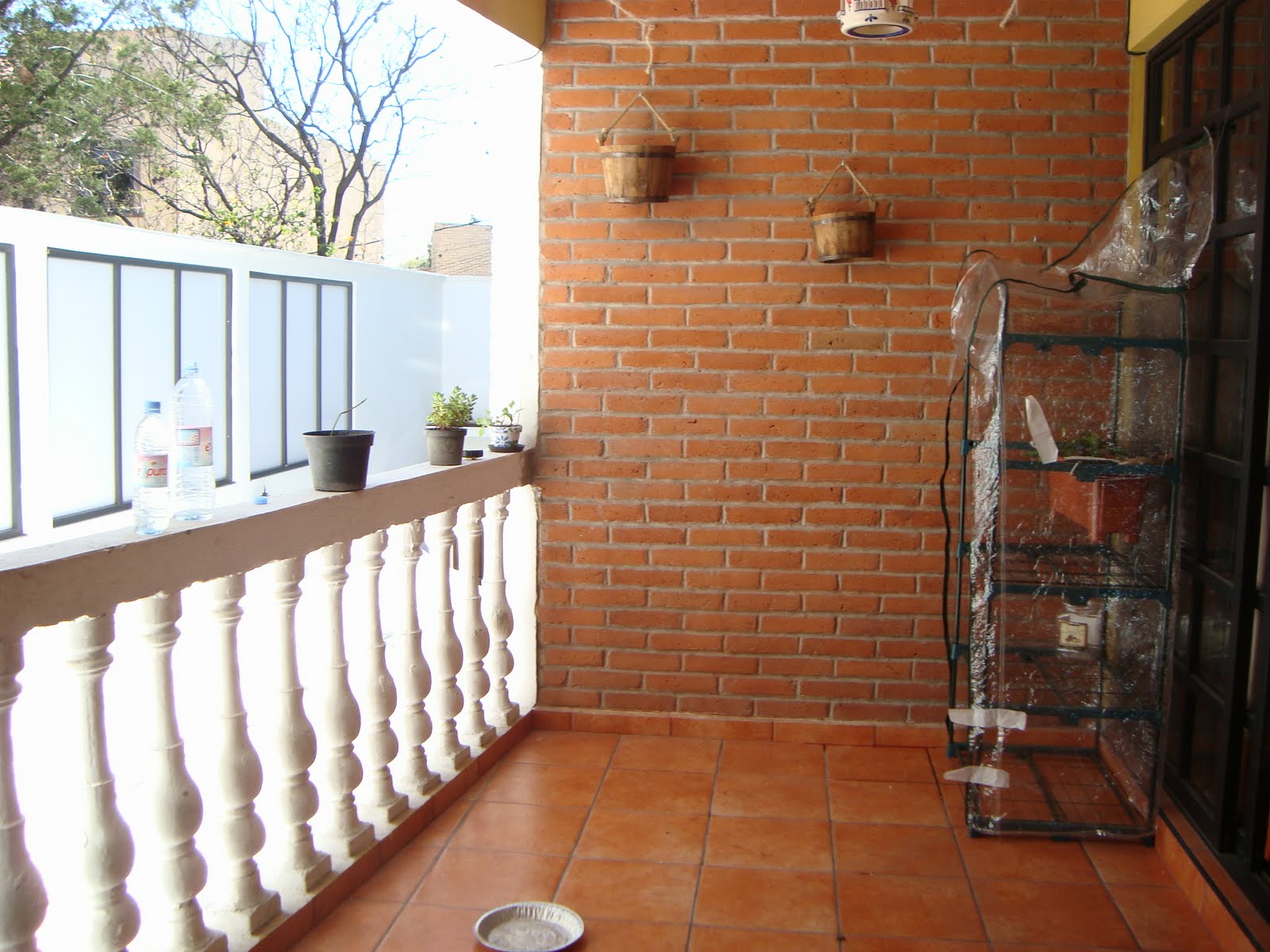 [DSC01219.JPG]