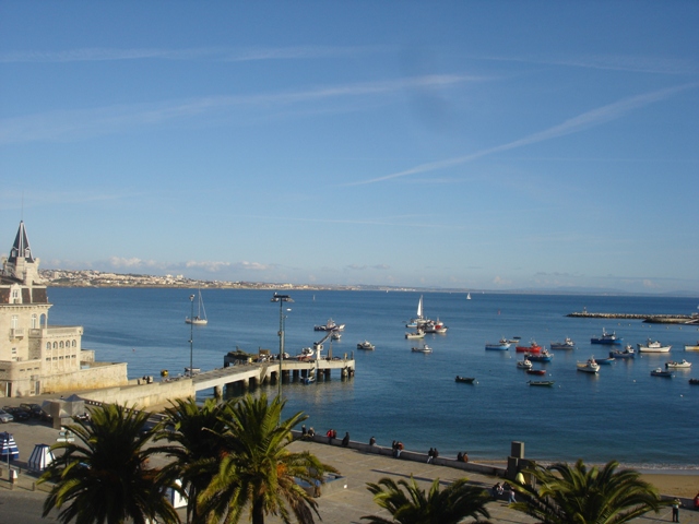 [DSC06342.JPG]