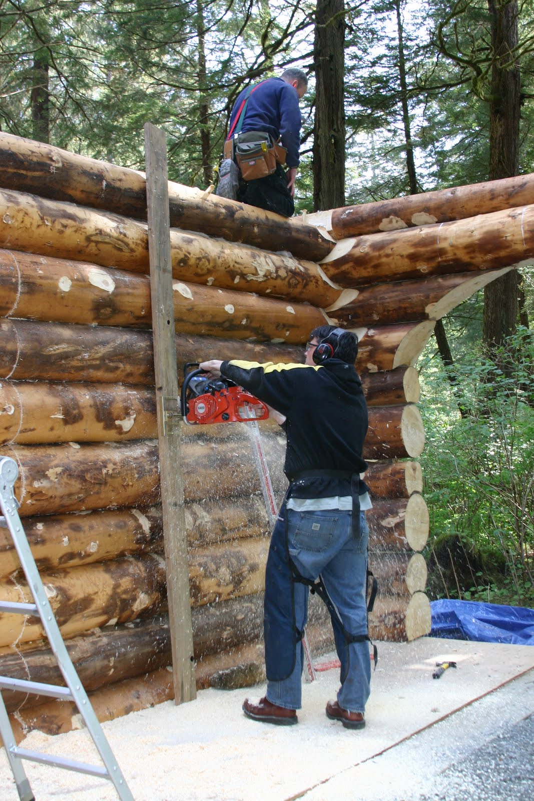 Afes Science News Learn To Build A Log Home In Alaska