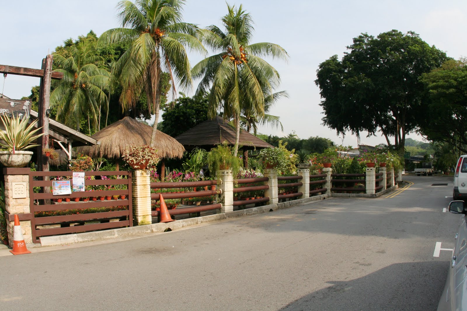 postcards from singapore thomson nurseries